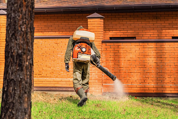 Bed Bug Clearance Verification and Documentation in Mansura